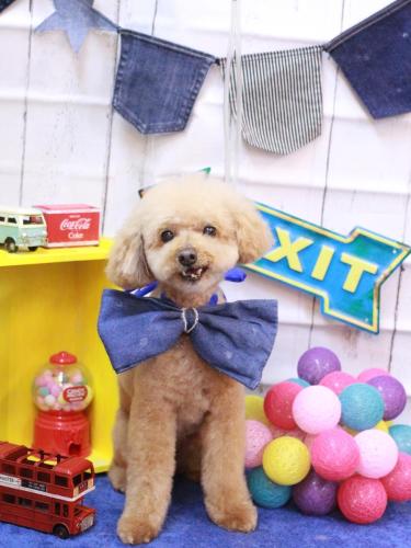 20230413ココアくん